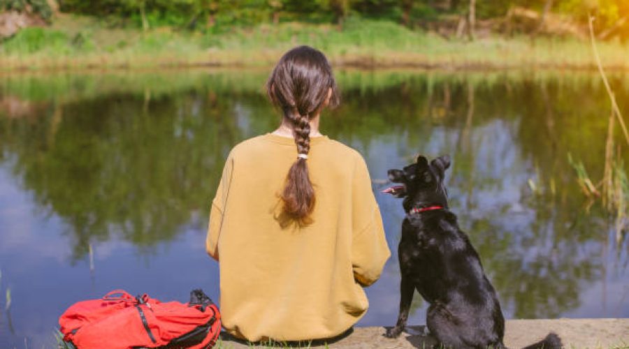 Rear view of a girl sitting with dog outdoors and looking at lake - friendship and travelling concept
